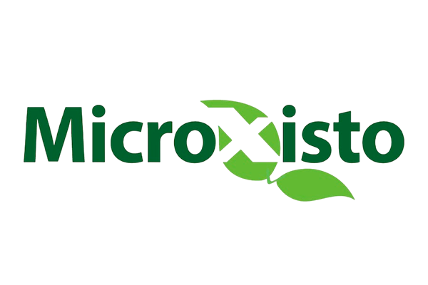 Microxisto 3x2
